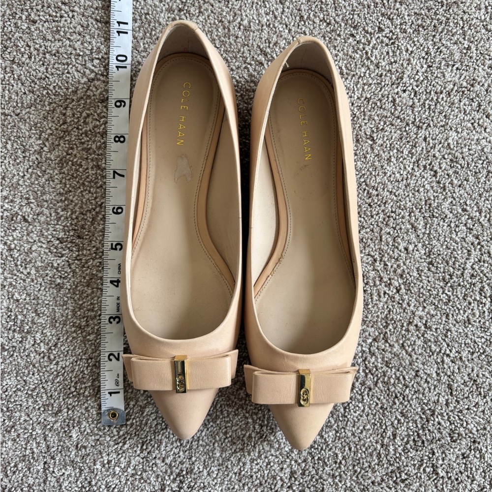 Blush Pink Cole Haan Pointed Flats